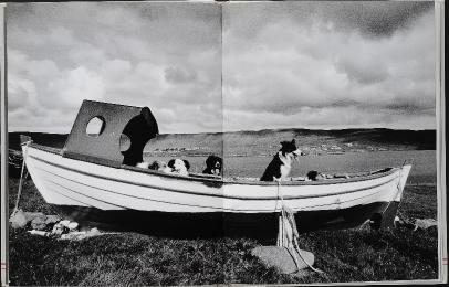 DSC2097